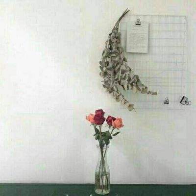 澳门人威尼斯3966手机app下载